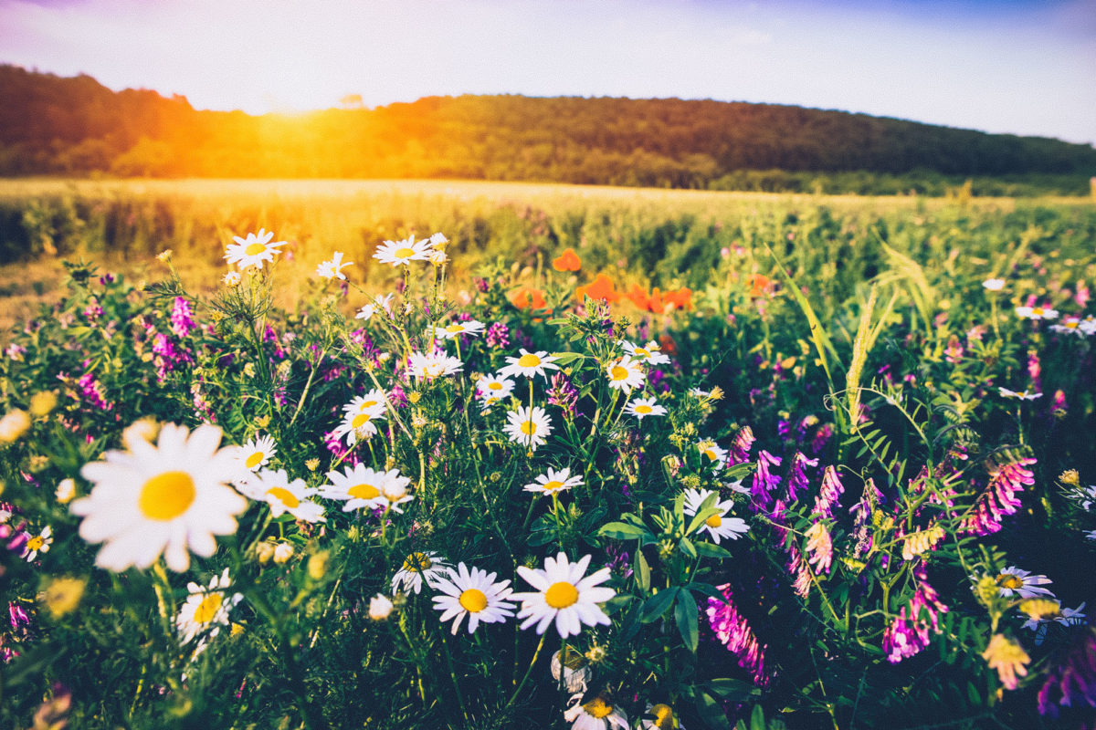 Building Tech for Positive Change in Agriculture. - Ourside Galway